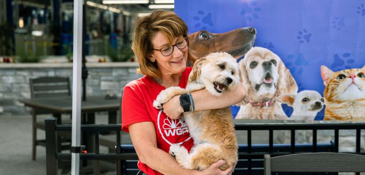 Car Wash, Auto Detailing and More in Glenwood, IL South Halsted St